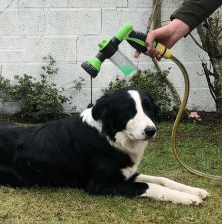 Blustoreweb ™ High-Pressure Dog Shower and Garden Cleaning
