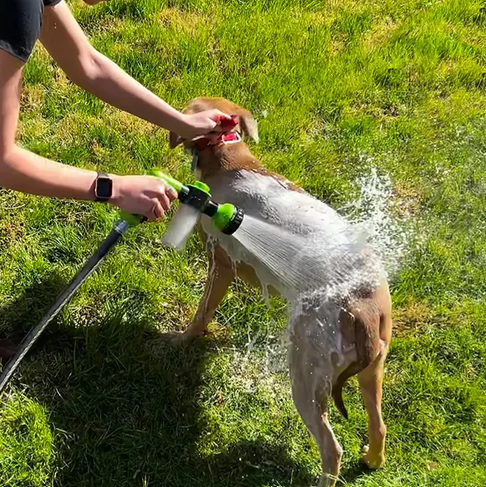 Blustoreweb ™ High-Pressure Dog Shower and Garden Cleaning