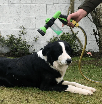 Blustoreweb ™ Doccino per cani e pulizia giardino alta pressione