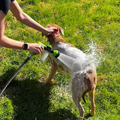 Blustoreweb ™ Doccino per cani e pulizia giardino alta pressione