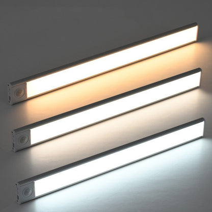 Blustoreweb ™ Luminex LED - Blustoreweb